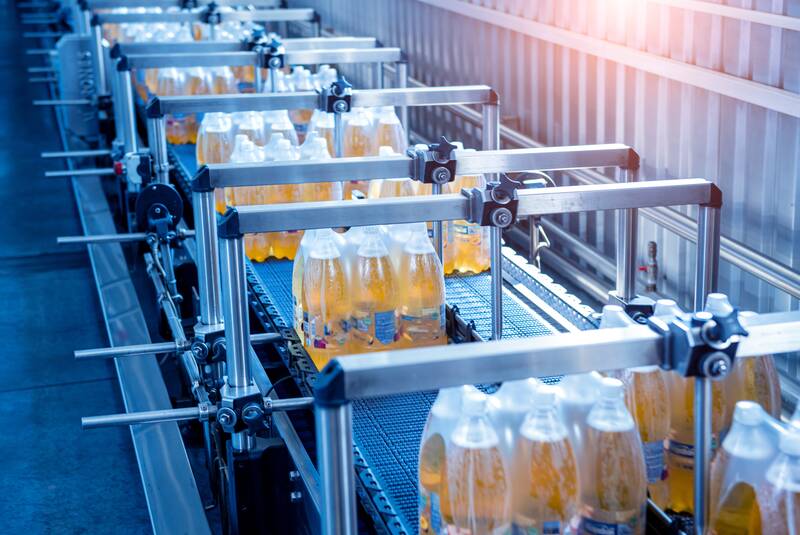 Biscuit/Cookie production