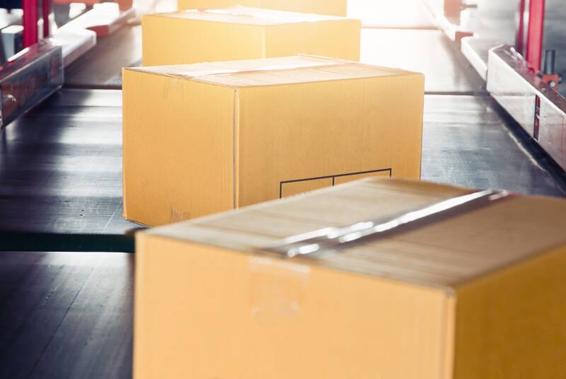 Biscuit/Cookie production