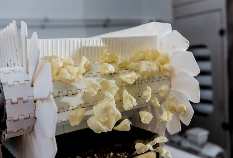 Biscuit/Cookie production