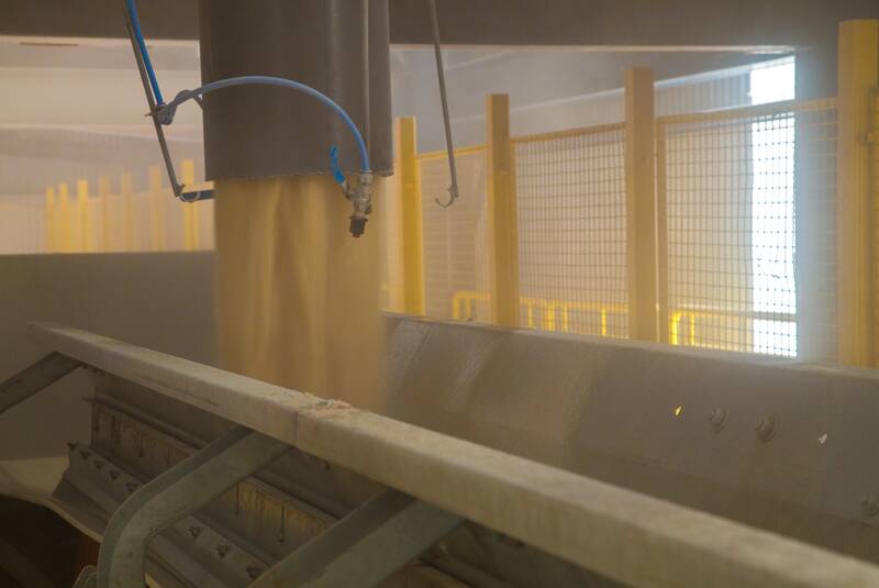 Biscuit/Cookie production