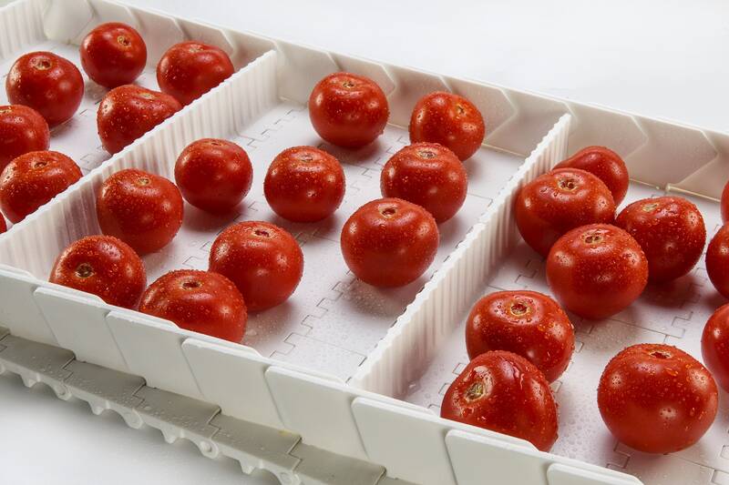 Biscuit/Cookie production